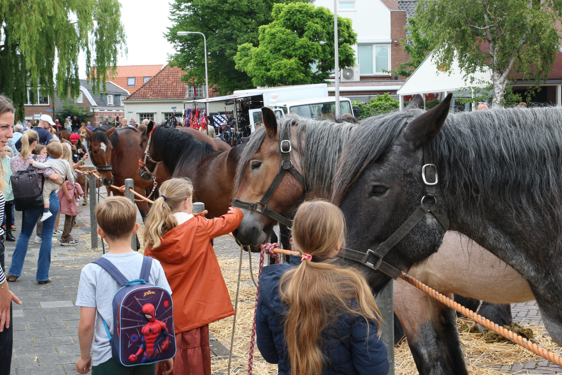 Rijnsburgse paardenmarkt 2024