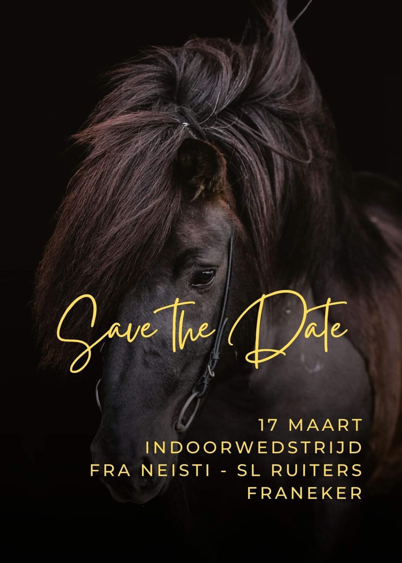Frá Neisti Indoorwedstrijd in Franeker ( poster )