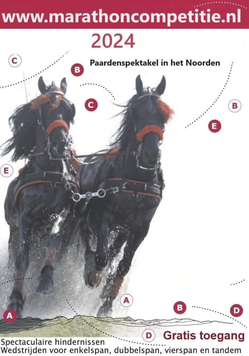 paardenmarathon Sumarreheide 2024 ( logo )
