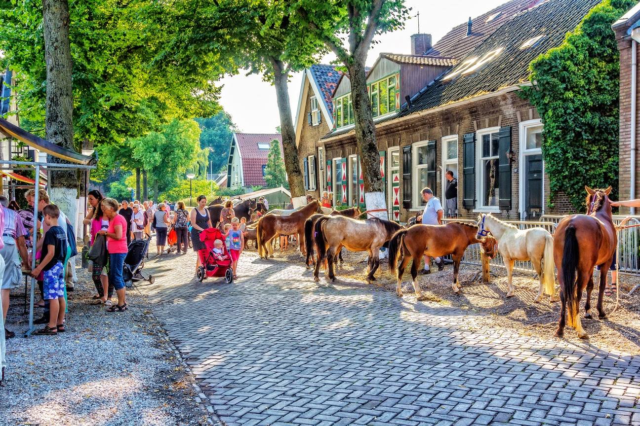 De jaarlijkse Sint Jacobus Paardenmarkt in Alblasserdam, gepland op woensdag 24 juli 2024, brengt de Kerkstraat tot leven met een gevarieerde showcase van paarden en pony's. Handelaren onderhandelen en creëren een levendige sfeer, terwijl lokale kraampjes en activiteiten de straten vullen. Mis deze bruisende dag vol paardenplezier niet!