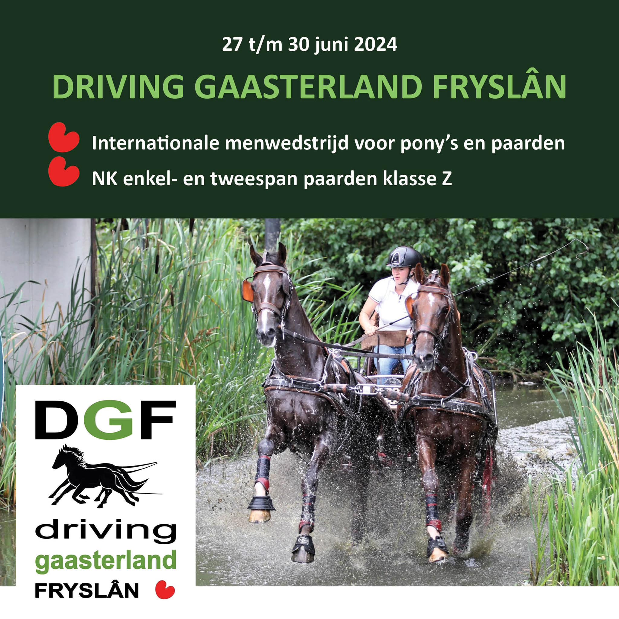 DGF - Driving Gaasterland Fryslan ( poster )