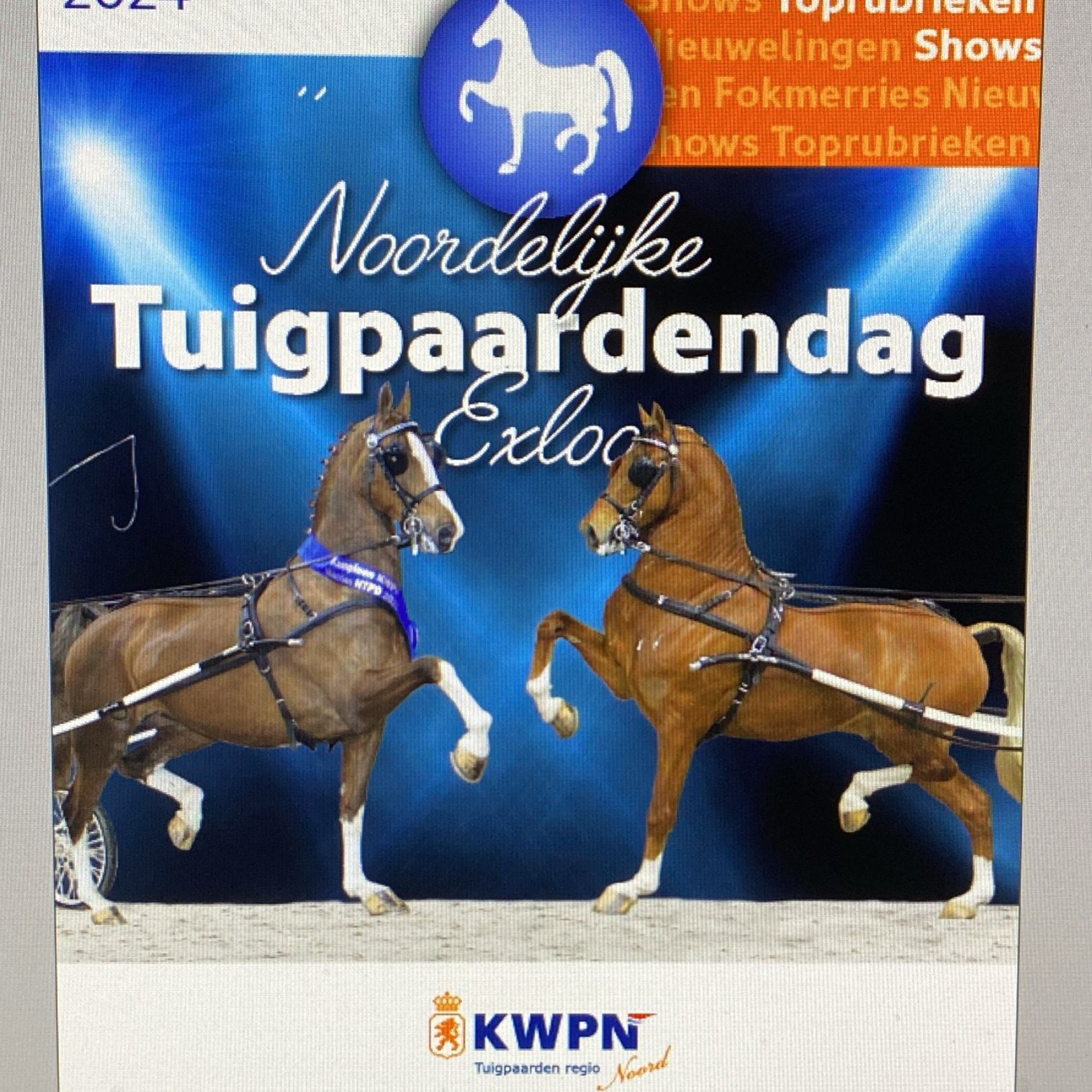 Noordelijke Tuigpaardendag exloo 2024