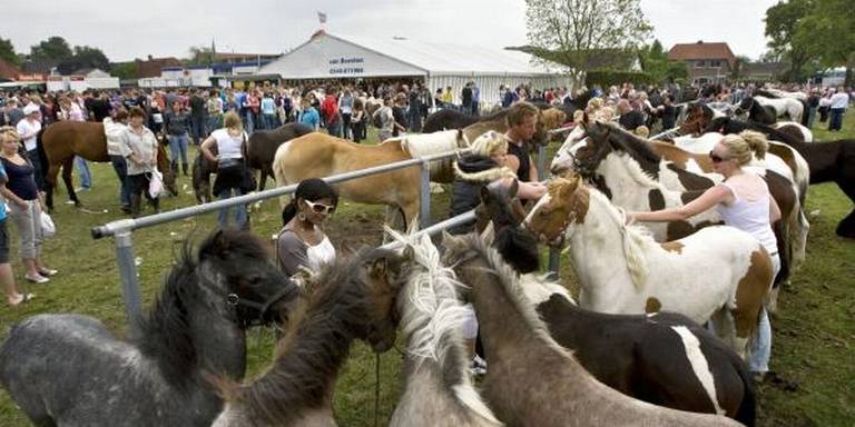Skoattermerke Oudeschoot paardenmarkt ( FOTO )