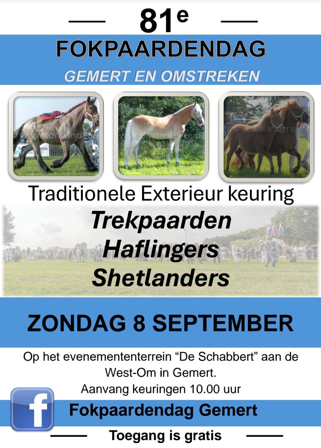 Fokpaardendag Gemert 2024